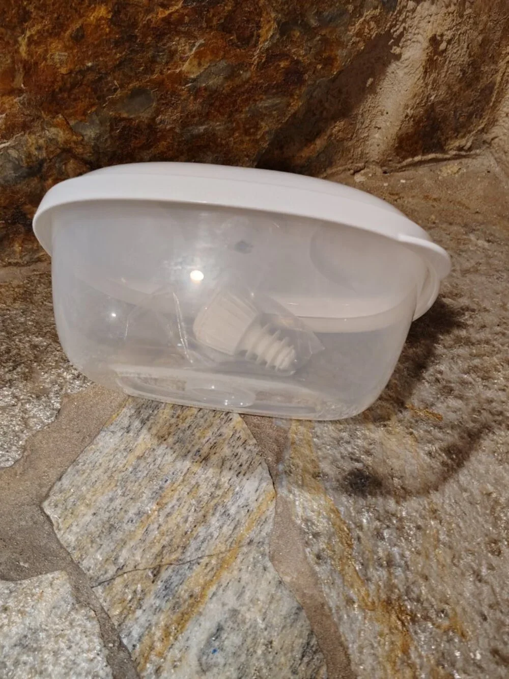 Vacuum Foodsaver Bowl Sealed Container New